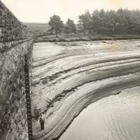 The effects of the 1975 drought at Venford reservoir