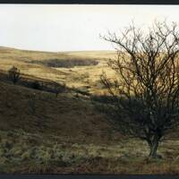 28/9 Old hill to Bala Brook 29/2/1991