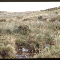 Source of the River Meavy