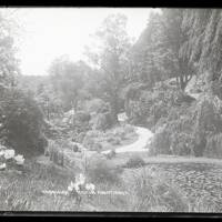 Endsleigh: gardens, Milton Abbot