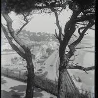 View from Lea Mount, Dawlish