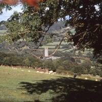 Colour image of trees, sheep, and church in the background at Widecombe in the Moor 