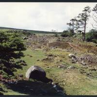 9/35 Tinners burrows below Glascombe Corner 20/6/1991