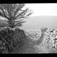 Owley Moor Gate