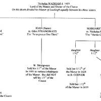 Diagram detailing the ownership of Lustleigh Cleave over the centuries