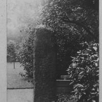 Ogham Stone in Tavistock Vicarage Garden