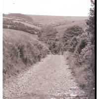 Lane at Cross Furzes, Wallaford Down