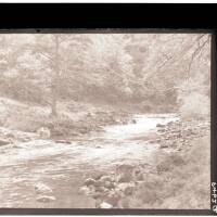 River Dart in Buckland Woods