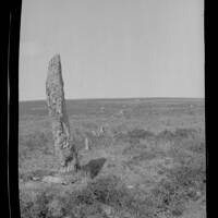 Menhir and stone row at Drizzlecombe