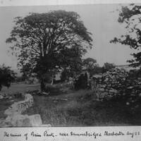 The ruins of Brim Park near Dunnabridge & Sherberton. Aug 23 1892.