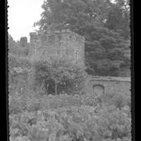 Vicarage garden ,Tavistock Abbey
