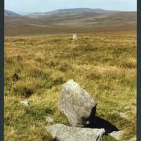 26/48 Cut Lane Marker stones to Foresland, High Willes, Yes Tor and Great Kneeset 4/9/1993