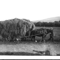 Hay gathering at Latchel