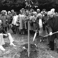 Planting a commemorative tree at Criddaford to inaugurate the Old Vestry Restoration Appeal, 1st Nov