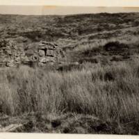 Ruin by Rattlebrook, opposite Dead Lake