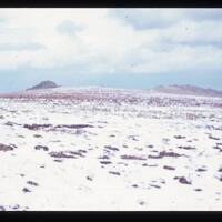 Belstone and Oke Tors in the snow