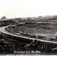 PRINCETOWN RAILWAY FROM THE MOOR