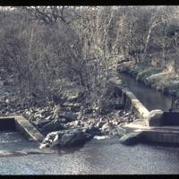 Hillbridge Weir Leat