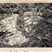 Coffin Stone, Dartmeet Hill