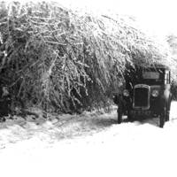 The Great Blizzard of 1947