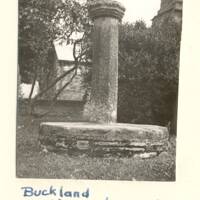 Column in Buckland Monachorum Church Yard