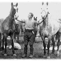 1WW  TROOOPER TOMMY MILLS OF THE DEVON YEOMANRY WITH HIS CHARGES C1917