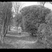 Shirley Taylor in the Garden at Moorside, Horrabridge