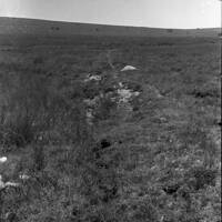 NEGATIVE OF MIDDLE CROSSING DRAIN STREAM HALSHANGER by R. HANSFORD WORTH,