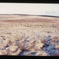 The Grey Wethers Stone Circle