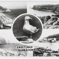 A Babbacombe Postcard.