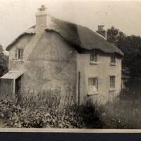 Thatched cottage - Sticklepath