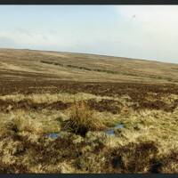 27/10 Old Hill from near source of Middle Brook 7/3/1991