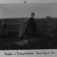 Standing stones at Tor Royal