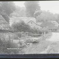 Cottages, Branscombe