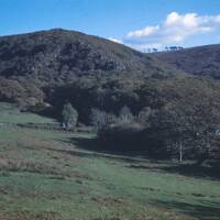 Dewerstone and Shaugh Moor