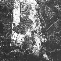 Manaton Boundary Stone