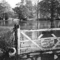 Flooding at the Lustleigh Cricket Field