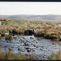 10/31 Stream Hill Ford to Fox Tor 1/6/1991