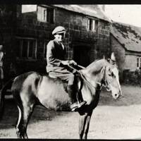 Donor on racehorse