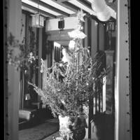 Christmas tree 1936 at Oakley