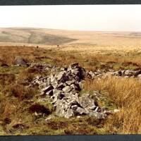 17/19 Tinners Hut (W) slopes of Ryder's Hill 15/4/1991