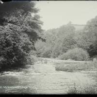 River Dart, Buckfastleigh