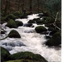 The River Bovey