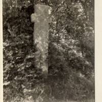 Stone Cross at Ringhole Copse