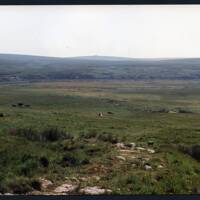 13/43 Philpotts Cut Broada Mash, Broada Marsh Stream, Row Tor 30/7/1991