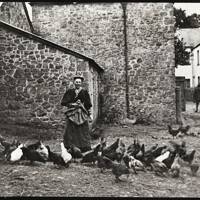 Bessie Darch Feeding poultry at Lovaton