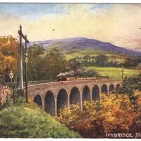 The Viaduct,Ivybridge