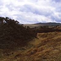 Iron Age Hillfort 