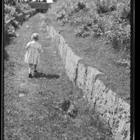 Shirley Taylor Walking Along a Leat on Roborough Down