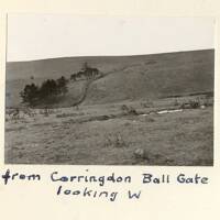 Corringdon Ball gate